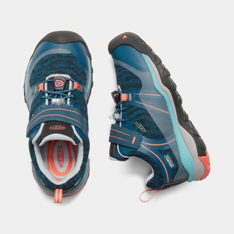 Zapatos Trekking Keen Terradora Waterproof Bajos Para Niños Azules/Coral - Zapatos Keen Mexico (6593